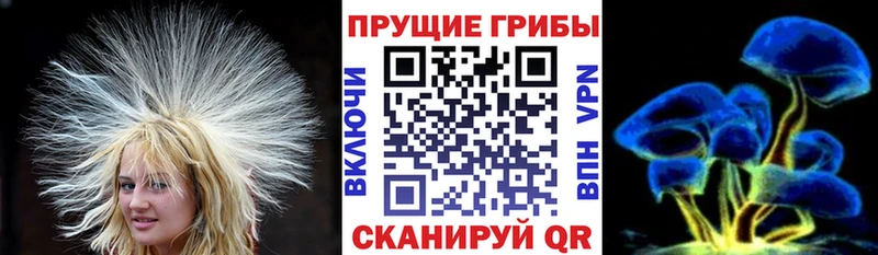 Псилоцибиновые грибы GOLDEN TEACHER  как найти наркотики  Медынь 